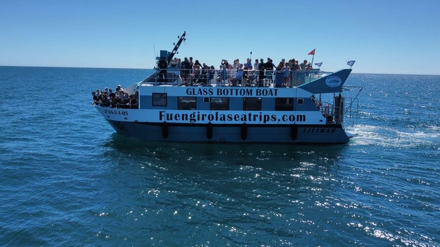 Fuengirola: Catamaran Tour to Spot Dolphins - Quick Takeaways Before You Go