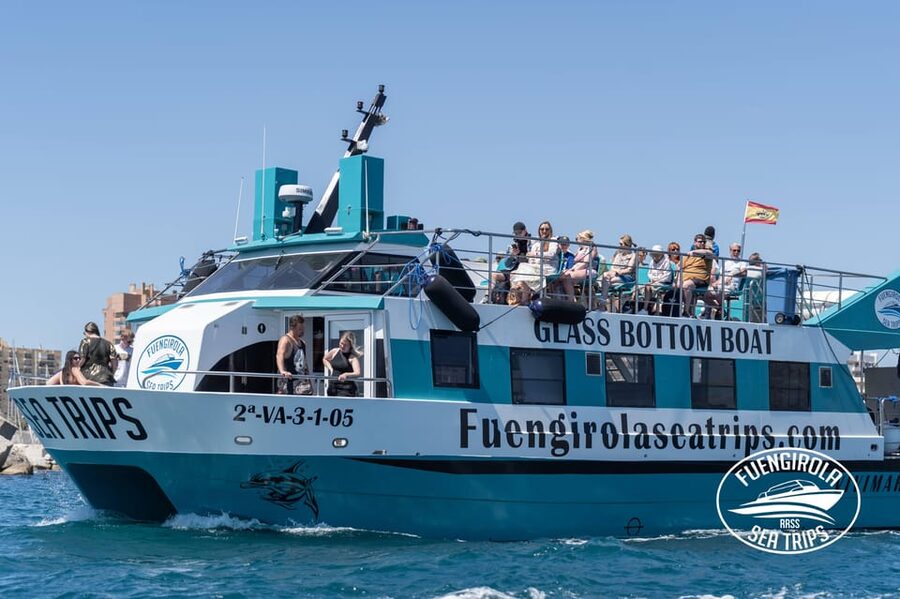 Fuengirola: Catamaran Tour to Spot Dolphins - Fuengirola Dolphin Catamaran Value: Why This Is a Smart Costa del Sol Pick