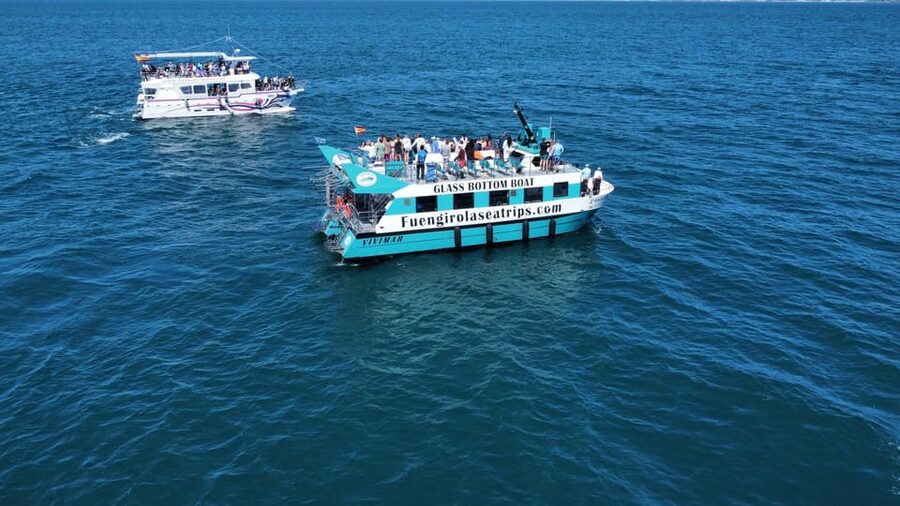 Fuengirola: Catamaran Tour to Spot Dolphins - The 2-Hour Cruise Timeline: What Happens After You Set Sail