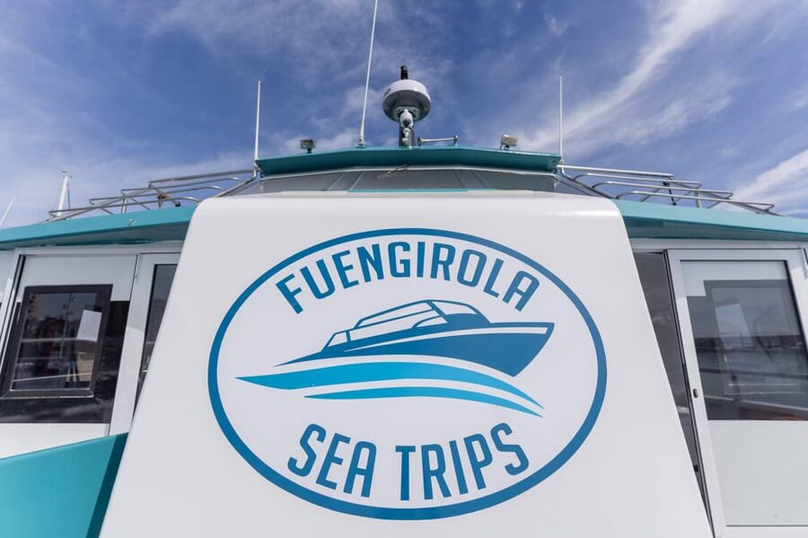 Fuengirola: Catamaran Tour to Spot Dolphins - Upper Deck Views, Bathroom Stops, and the Glass-Bottom Reality