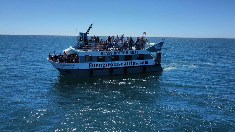 Fuengirola: Catamaran Tour to Spot Dolphins - When the Sea Is Choppy: Motion Sickness Tips That Actually Help