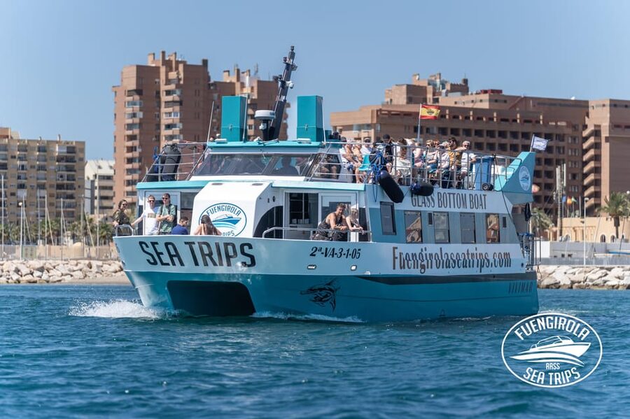 Fuengirola: Catamaran Tour to Spot Dolphins - Gate 3 to Dock 3: How to Meet the Boat Without Stress