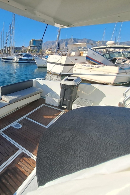 Fuengirola: Dolphin Spotting Tour - How the dolphin search really works off the Fuengirola coast