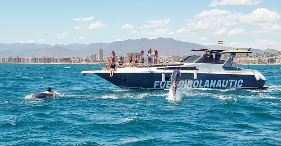 Fuengirola: Dolphin Watching by Yacht with Snacks and Drinks - Weather reality: dolphins need patience, and so does the sea