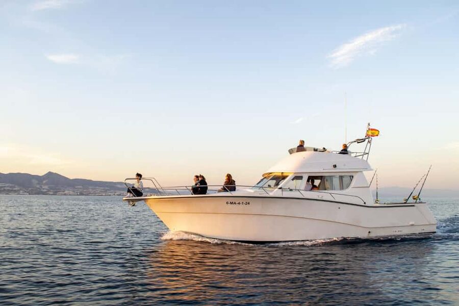 Fuengirola: Dolphin Watching Excursion with Refreshments - Why Fuengirola makes dolphin watching feel easy