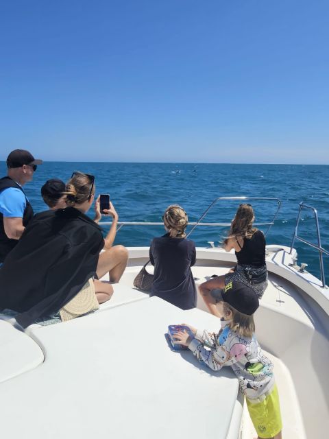 Fuengirola: Dolphin Watching Excursion with Refreshments - Dolphin sightings: what the 80% chance means for your expectations