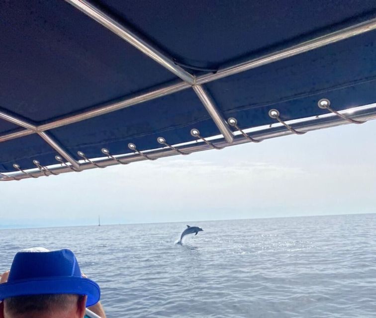 Fuengirola: Fantastic Dolphin Watching Yacht Tour with Drink - Drinks Included, But Manage Expectations Like A Sailor