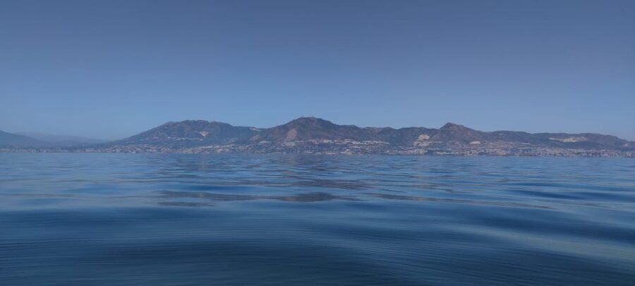 Fuengirola: Fantastic Dolphin Watching Yacht Tour with Drink - Learning While You Watch: Dolphin Types And Habitat Talk