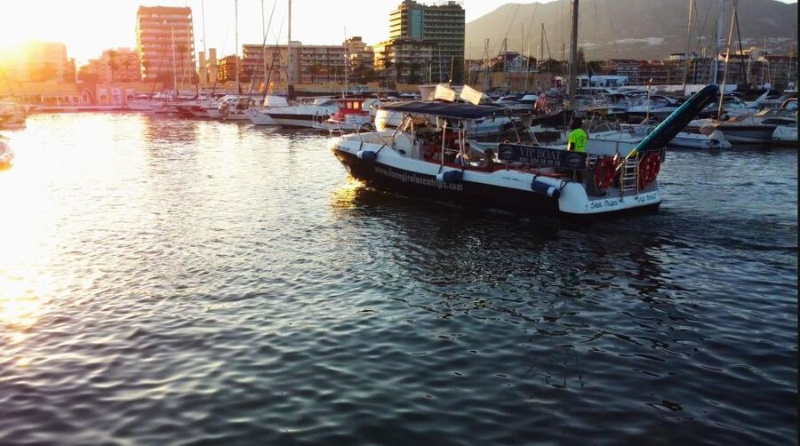 Fuengirola: Fantastic Dolphin Watching Yacht Tour with Drink - Comfort, Seating, and Kids: A Yacht That Works For Mixed Ages