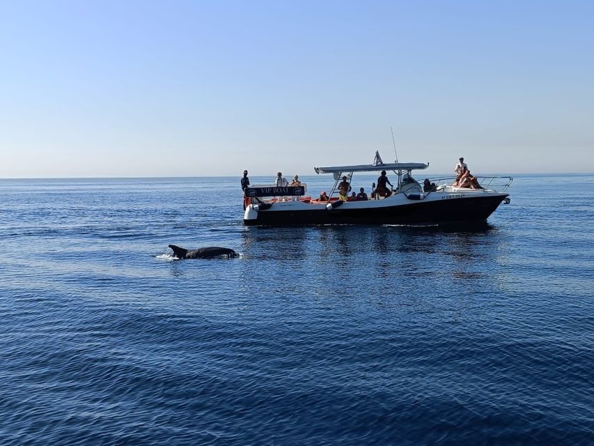 Fuengirola: Fantastic Dolphin Watching Yacht Tour with Drink - Price And Value: Is $41 Worth It For 2 Hours?