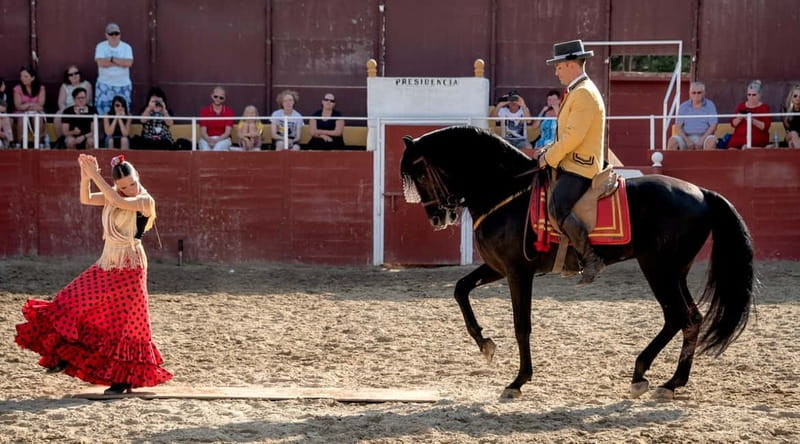 Fuengirola: Spanish Horse Show with Optional Dinner/Flamenco - Key things I’d plan around