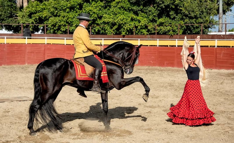 Fuengirola: Spanish Horse Show with Optional Dinner/Flamenco - Fuengirola’s Cartujano horse show at Finca El Cartujano
