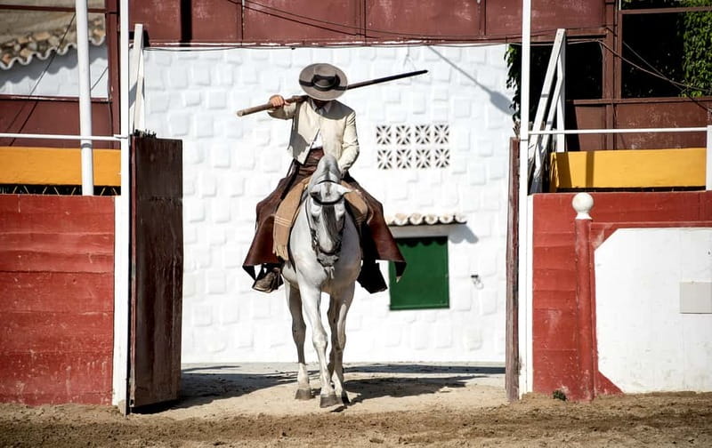 Fuengirola: Spanish Horse Show with Optional Dinner/Flamenco - The equestrian show at 18:00, led by Salvador Sanchez