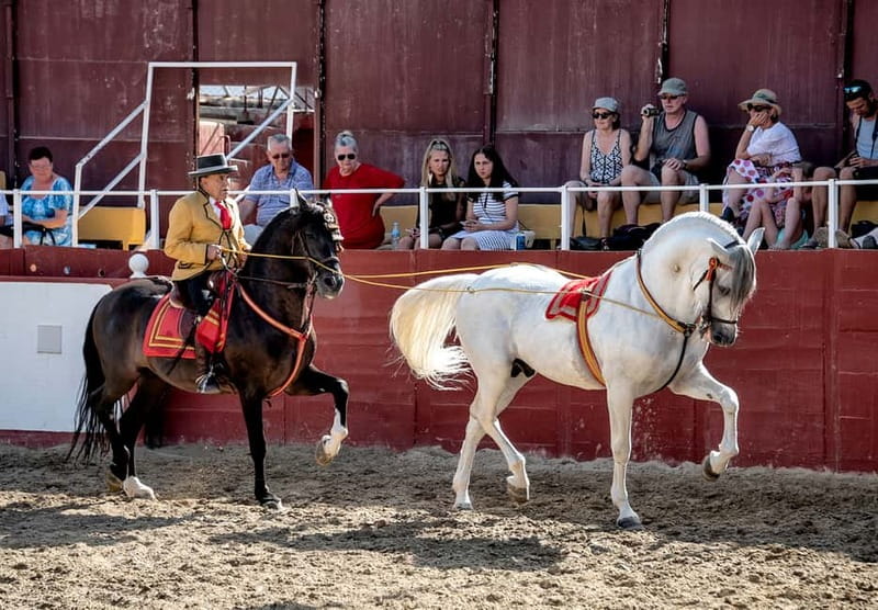 Fuengirola: Spanish Horse Show with Optional Dinner/Flamenco - Free time after the show: stables visits, photos, and mini-golf