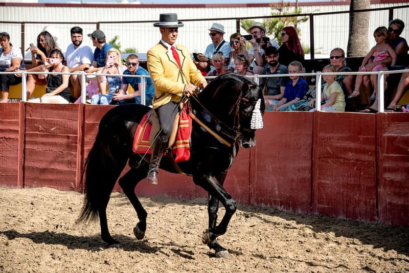 Fuengirola: Spanish Horse Show with Optional Dinner/Flamenco - Flamenco around 21:30: soleas, alegrías, fandangos, and rumbas