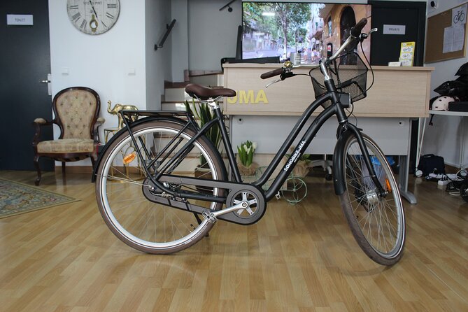 Full Day Bike Rental in Malaga - The bike itself: comfort, condition, and ride ease