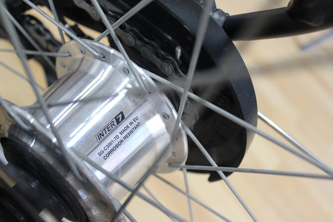 Full Day Bike Rental in Malaga - Price and value: what $16.82 really buys you