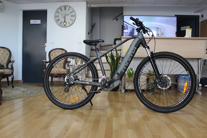 Full Day Rental of Electric Mountain E-Bike - The Electric Mountain E-Bike: Comfort and Power for Real Hills