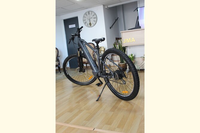Full Day Rental of Electric Mountain E-Bike - Using Bike Lanes to Keep the Ride Relaxed (Not Stressful)