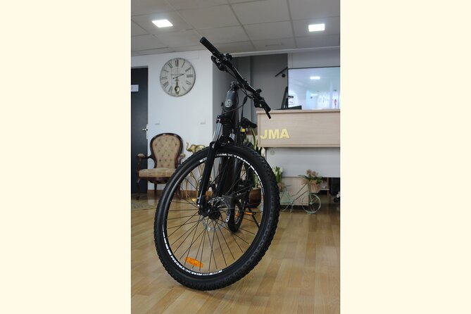 Full Day Rental of Electric Mountain E-Bike - Price and Value: How $13 Can Still Be a Smart Choice