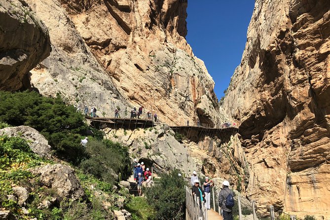 Full Day Walking Tour to Caminito del Rey - The 7.7 km route through the gorges: what you’ll actually see