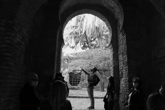 Get to know Malaga like a Local : Private Walking Tour - Malaga Cathedral and the Picasso Museum Area, Plus What You Do and Do Not Enter