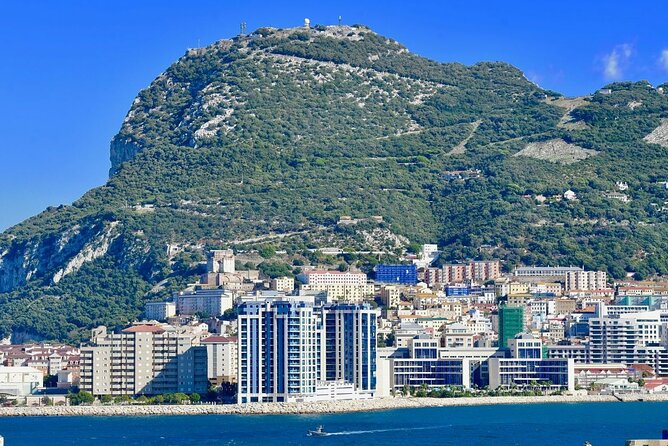 Gibraltar Day Trip at your Own Pace from Malaga & Costa del Sol - Main Street and The Alameda: shopping time plus a garden reset