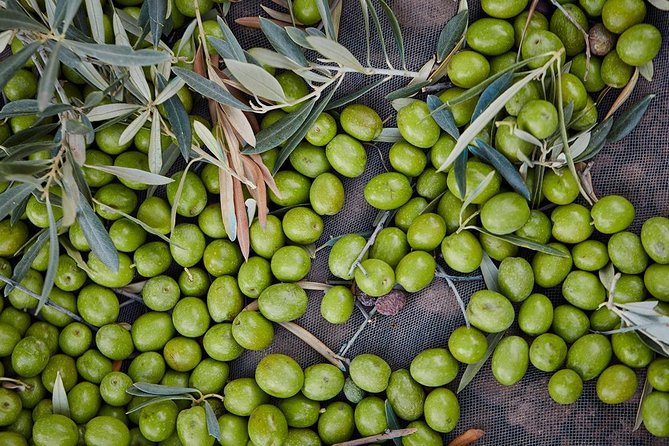 Gourmet Cooking Class & Culture in the rural Montes de Malaga. - The full meal plan: tapas, Arroz Campesino, and a 4-course lunch