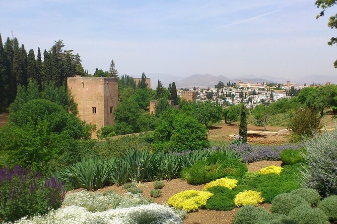 Granada Full Day Tour From Malaga - Price and value: what $56.67 buys on a timed-entry day