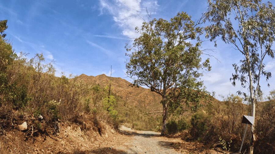 Guided Buggy Tour Mijas - Should you book the Guided Buggy Tour in Mijas?