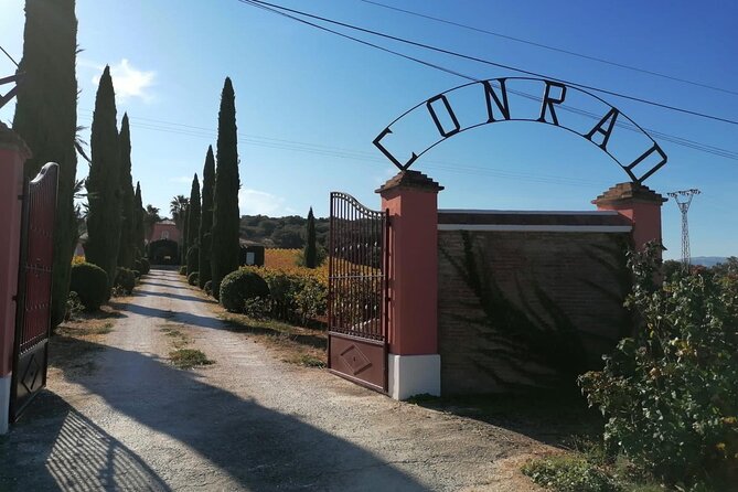 Guided Cellar Tour and wine tasting - Key Highlights I’d Put on Your Shortlist