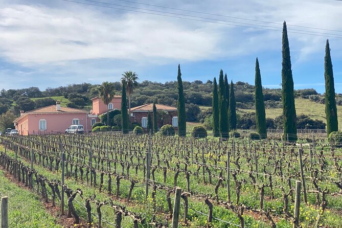 Guided Cellar Tour and wine tasting - The 1 Hour 30 Minute Flow: What You’ll Actually Do