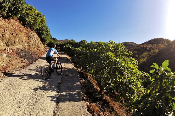 Guided Mountain Bike Adventure - Timing, weather, and making it fit your Malaga plan