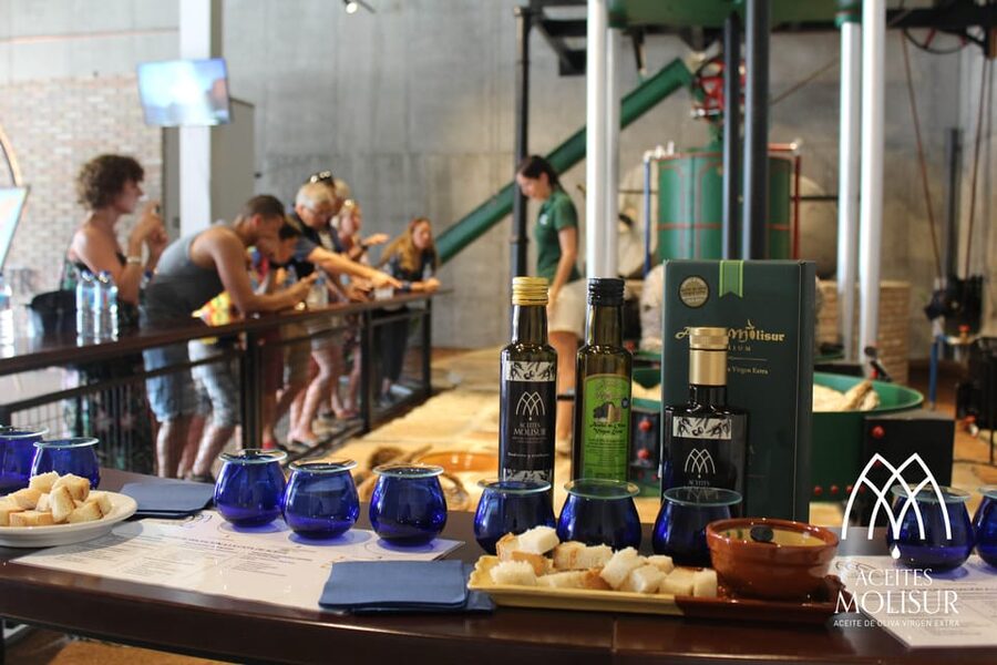 Guided tour and oil tasting at the Aceites Molisur factory - The 90 minutes that actually teach you something