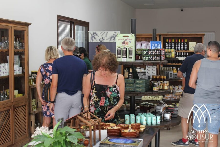 Guided tour and oil tasting at the Aceites Molisur factory - What to bring, and what to skip