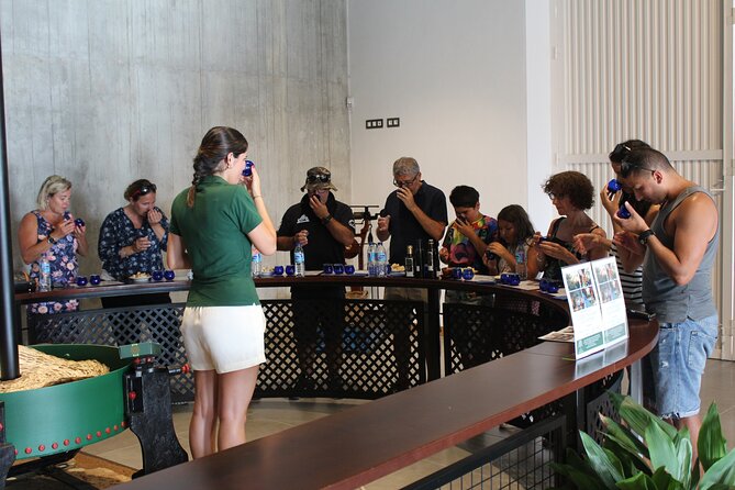 Guided tour and olive oil tasting in Alhaurin el Grande (Málaga) - Key highlights to know before you go