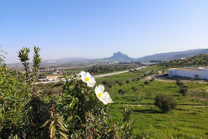 Guided tour of the Dolmens and El Torcal - Stop 2: Dolmenes de Antequera, Menga, Viera, and El Romeral UNESCO sites