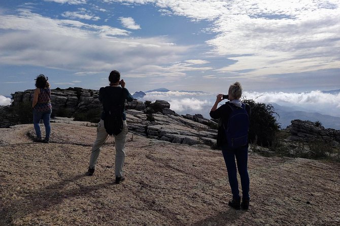 Guided tour of the Dolmens and El Torcal - What the $42.33 price covers, and why it can feel good value