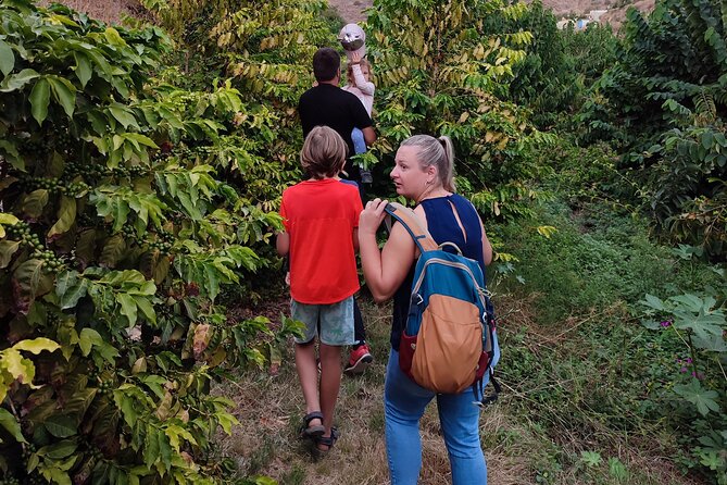Guided Tour to the only coffee farm in Europe - Manolo Mateos, the Guide Who Keeps It Moving (and Keeps It Funny)