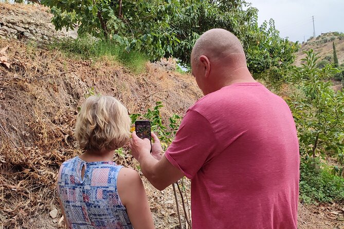 Guided Tour to the only coffee farm in Europe - Should You Book This Coffee Farm Tour? A Clear Match Guide