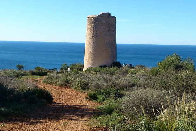 Half-Day Malaga Small-Group Hiking and Snorkeling Tour - Beach Time in the Natural Park: Swim and Optional Snorkel