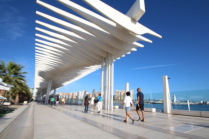 Half-Day Private Taxi Tour to Malaga Historic Center - Castillo de Gibralfaro Tickets and the Best Way to Spend 30 Minutes