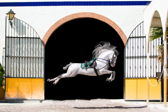 Horse and Flamenco Show in Malaga - Key things to know before you go