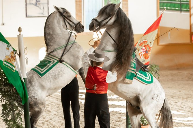 Horse and Flamenco Show in Malaga - Where this Malaga show happens, and what the vibe is like