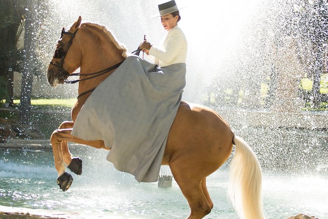 Horse and Flamenco Show in Malaga - Pre-show stable time: close-up, relaxed, and worth arriving early for