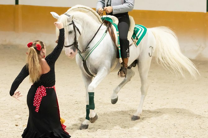 Horse and Flamenco Show in Malaga - Flamenco with the horses: where it shines, and what to expect