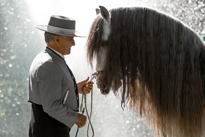 Horse and Flamenco Show in Malaga - Timing, seats, and the real comfort factor in Malaga heat