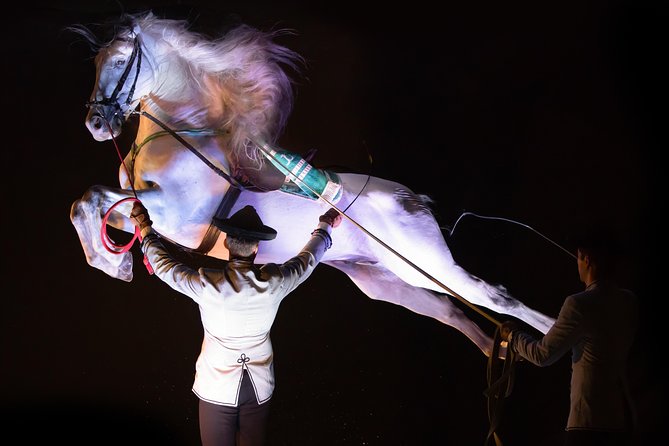 Horse and Flamenco Show in Malaga - Getting the most from the show: how to watch like you care