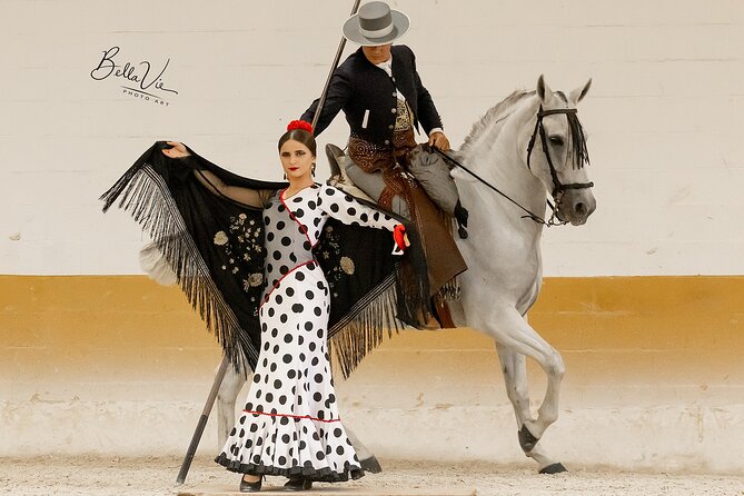 Horse and Flamenco Show in Malaga with Dinner - Key Highlights Worth Knowing