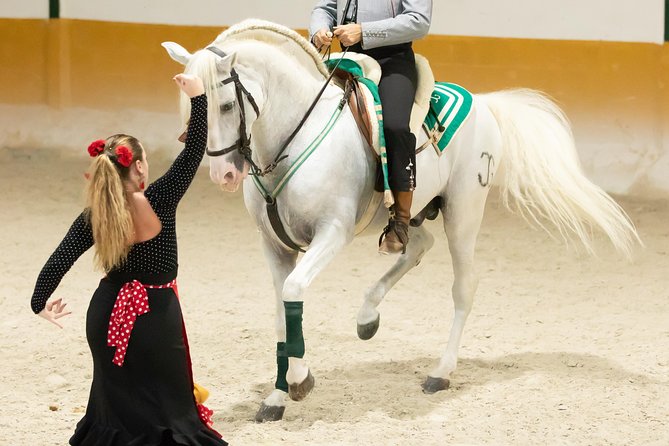 Horse and Flamenco Show in Malaga with Dinner - Price and value: why $86.57 can make sense